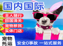 福州机场快递国际宠物托运 【国